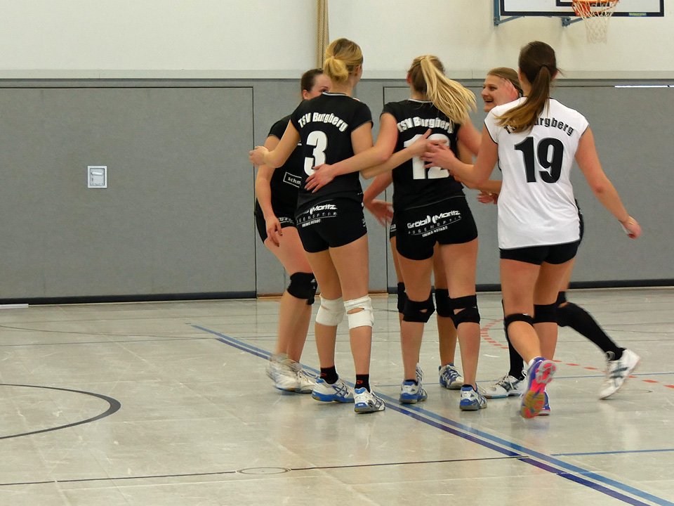 Volleyball Heimspieltag Damen 11.02.2017