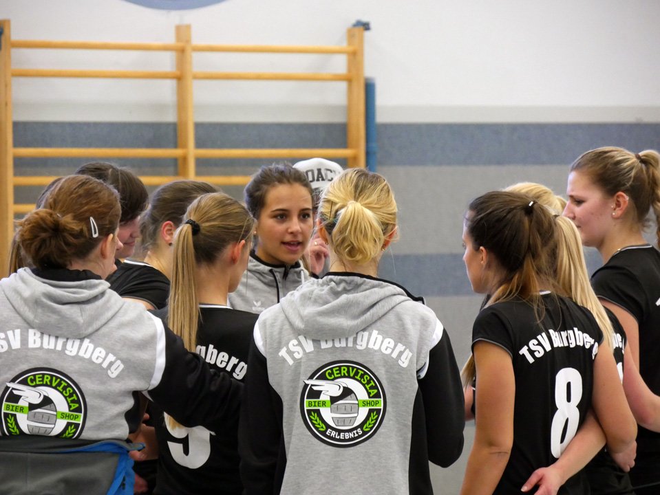 Volleyball Heimspieltag Damen 11.02.2017