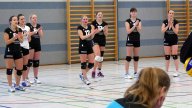 Volleyball Heimspieltag Damen 11.02.2017
