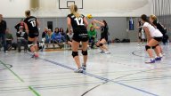 Volleyball Heimspieltag Damen 11.02.2017