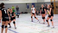 Volleyball Heimspieltag Damen 11.02.2017
