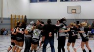 Volleyball Heimspieltag Damen 11.02.2017