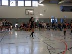 Volleyballdamen Heimspieltag 25.02.2017